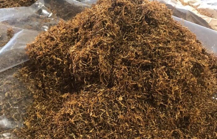 بررسی خصوصیات برگ توتون و تاثیر آن بر کیفیت و طعم سیگار